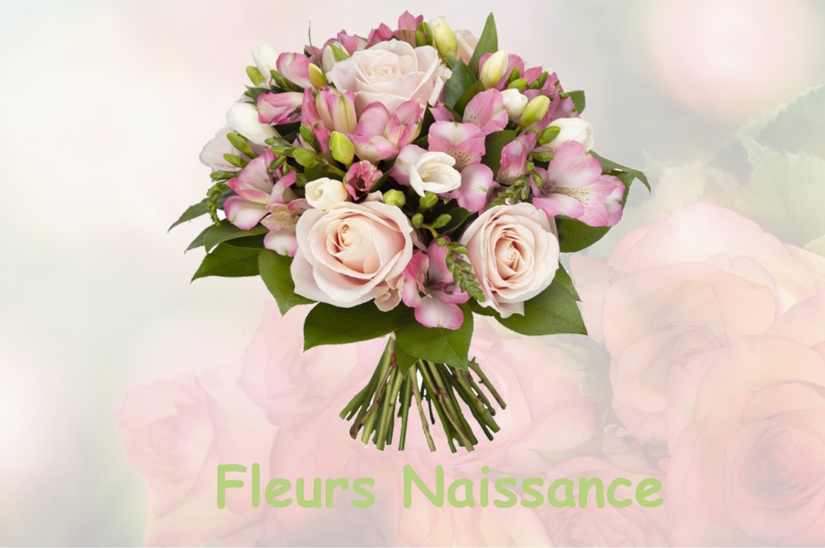 fleurs naissance SAINT-HILAIRE-SUR-PUISEAUX