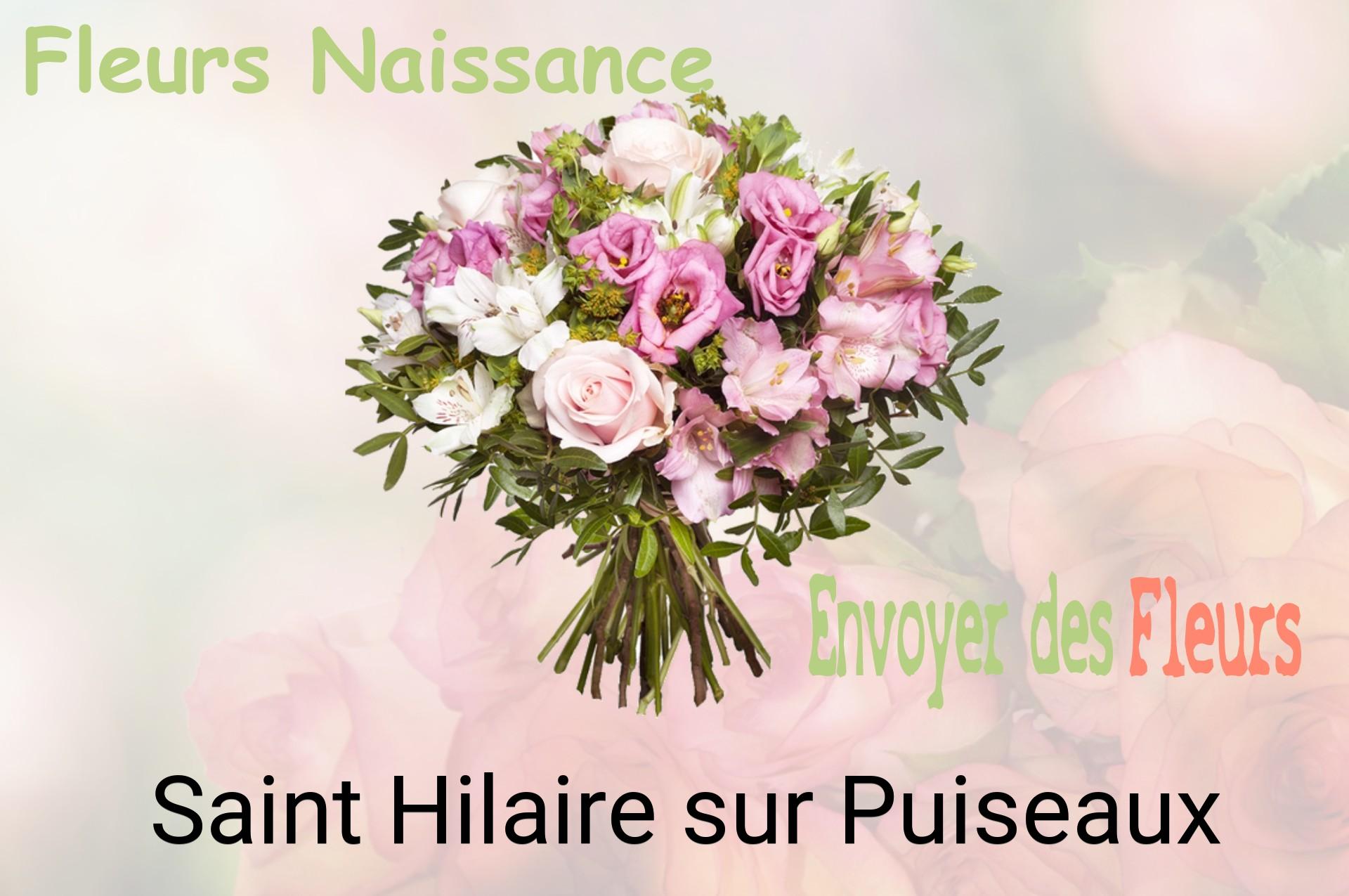 Bouquet de fleurs de naissance livré à Saint-Hilaire-sur-Puiseaux
