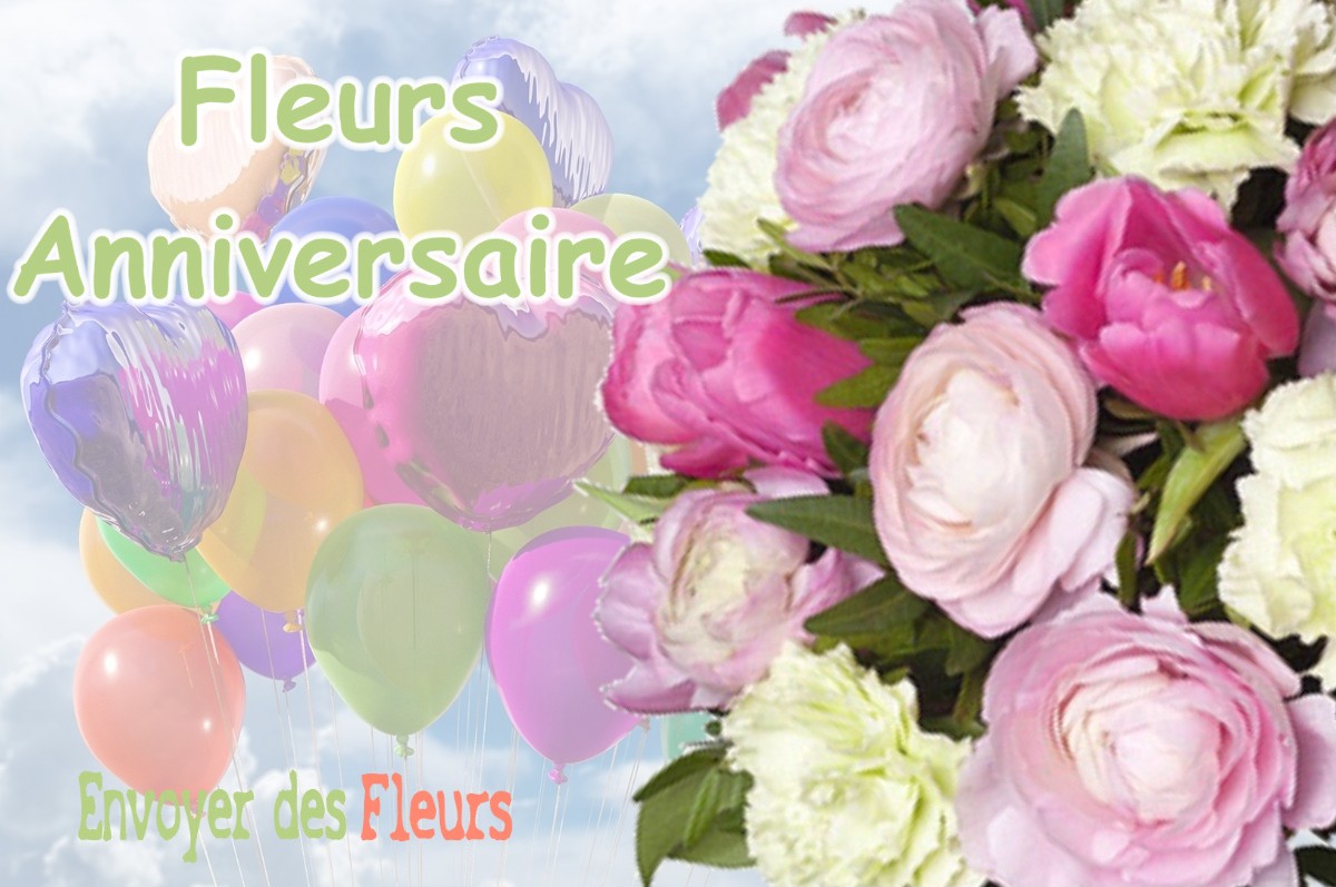 lIVRAISON FLEURS ANNIVERSAIRE à SAINT-HILAIRE-SUR-PUISEAUX