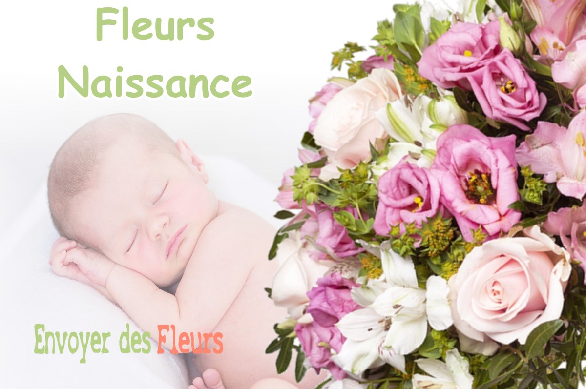 lIVRAISON FLEURS NAISSANCE à SAINT-HILAIRE-SUR-PUISEAUX